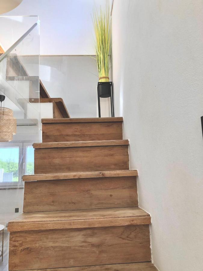 פורץ Villa Hedonia מראה חיצוני תמונה